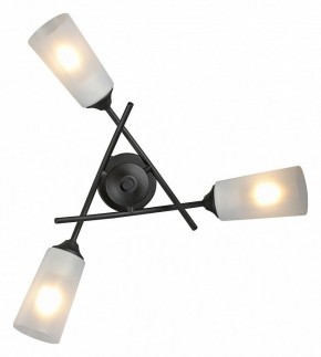 Люстра на штанге Vitaluce V2850 V2850-1/3PL в Соликамске - solikamsk.ok-mebel.com | фото 4