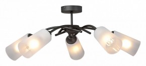 Люстра на штанге Vitaluce V2850 V2850-1/5PL в Соликамске - solikamsk.ok-mebel.com | фото