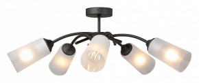 Люстра на штанге Vitaluce V2850 V2850-1/5PL в Соликамске - solikamsk.ok-mebel.com | фото 3