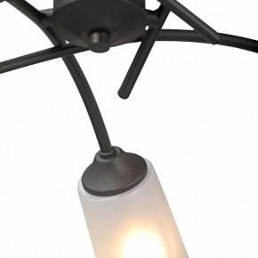 Люстра на штанге Vitaluce V2850 V2850-1/5PL в Соликамске - solikamsk.ok-mebel.com | фото 6