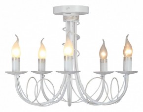 Люстра на штанге Vitaluce V3035 V3035-0/5PL в Соликамске - solikamsk.ok-mebel.com | фото 2