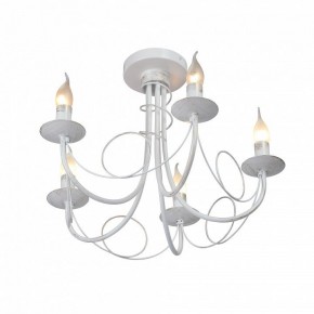 Люстра на штанге Vitaluce V3035 V3035-0/5PL в Соликамске - solikamsk.ok-mebel.com | фото 4