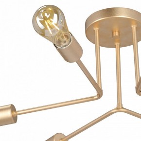 Люстра на штанге Vitaluce V3071 V3071-8/6PL в Соликамске - solikamsk.ok-mebel.com | фото 6