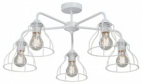 Люстра на штанге Vitaluce V3102 V3102-0/5PL в Соликамске - solikamsk.ok-mebel.com | фото
