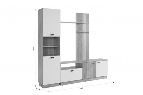 МОДИ Гостиная (модульная) белое дерево в Соликамске - solikamsk.ok-mebel.com | фото 2