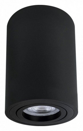 Накладной светильник Arte Lamp Sentry A1566PL-1BK в Соликамске - solikamsk.ok-mebel.com | фото