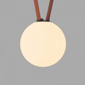 Накладной светильник Denkirs Belty Orb DK5555-BK в Соликамске - solikamsk.ok-mebel.com | фото 2