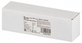 Накладной светильник Эра  TRM-S5-1-6W4K-WH в Соликамске - solikamsk.ok-mebel.com | фото 6