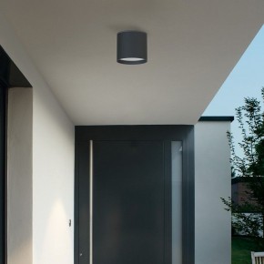 Накладной светильник Favourite Fantum 4663-1U в Соликамске - solikamsk.ok-mebel.com | фото 3