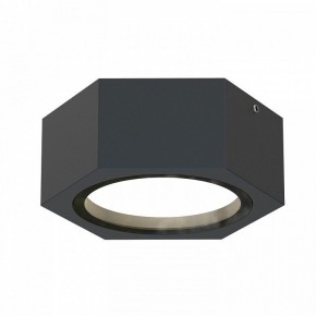 Накладной светильник Favourite Fantum 4667-1U в Соликамске - solikamsk.ok-mebel.com | фото 2