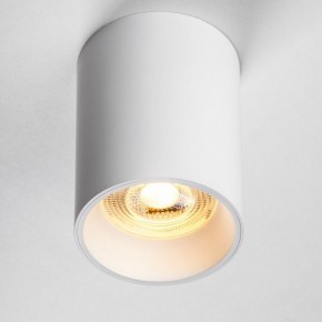 Накладной светильник Lightstar Rullo 213436 в Соликамске - solikamsk.ok-mebel.com | фото 2