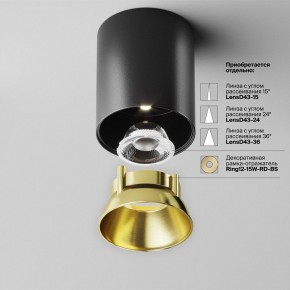 Накладной светильник Maytoni Alfa LED C064CL-12W4K-RD-B в Соликамске - solikamsk.ok-mebel.com | фото 3