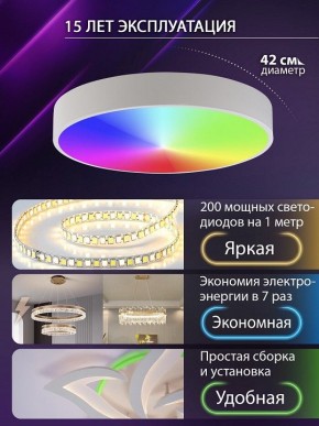 Накладной светильник Natali Kovaltseva MODERN LED LAMPS 81105/1C в Соликамске - solikamsk.ok-mebel.com | фото 6