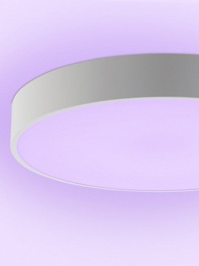 Накладной светильник Natali Kovaltseva MODERN LED LAMPS 81105/1C в Соликамске - solikamsk.ok-mebel.com | фото 9