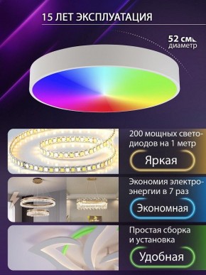 Накладной светильник Natali Kovaltseva MODERN LED LAMPS 81105/2C в Соликамске - solikamsk.ok-mebel.com | фото 6
