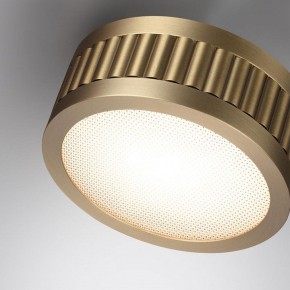 Накладной светильник Odeon Light Manchester 7013/7CL в Соликамске - solikamsk.ok-mebel.com | фото 5