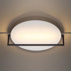 Накладной светильник Odeon Light Next 7015/20WL в Соликамске - solikamsk.ok-mebel.com | фото 2