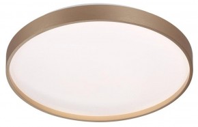 Накладной светильник Sonex Gaby 7783/DL в Соликамске - solikamsk.ok-mebel.com | фото 3