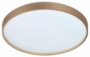 Накладной светильник Sonex Gaby 7783/DL в Соликамске - solikamsk.ok-mebel.com | фото 4