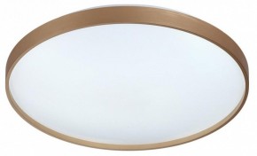 Накладной светильник Sonex Gaby 7783/EL в Соликамске - solikamsk.ok-mebel.com | фото 4