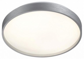 Накладной светильник Sonex Gaby 7784/CL в Соликамске - solikamsk.ok-mebel.com | фото 4