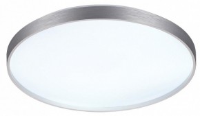 Накладной светильник Sonex Gaby 7784/EL в Соликамске - solikamsk.ok-mebel.com | фото 4