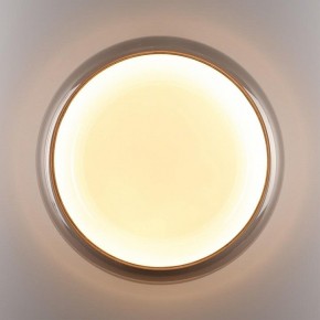 Накладной светильник Sonex PORTMAN 7777/DLN в Соликамске - solikamsk.ok-mebel.com | фото 6