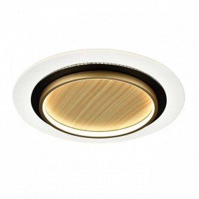 Накладной светильник Sonex Sunny 7731/80L в Соликамске - solikamsk.ok-mebel.com | фото 4