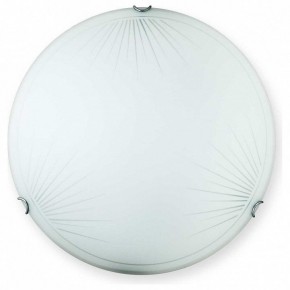 Накладной светильник TopLight Wifa TL9142Y-00WH в Соликамске - solikamsk.ok-mebel.com | фото