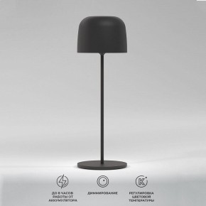 Настольная лампа декоративная Elektrostandard Bitty a069002 в Соликамске - solikamsk.ok-mebel.com | фото 2