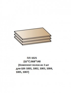 ПЛ-1021 (Комплект полок из 3 шт для ШК-1001, 1002, 1003, 1004, 1005, 1007) в Соликамске - solikamsk.ok-mebel.com | фото
