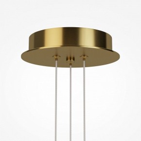 Подвесная люстра Maytoni Arana MOD401PL-L108BS3K в Соликамске - solikamsk.ok-mebel.com | фото 7