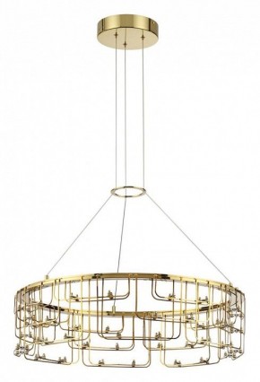 Подвесная люстра Odeon Light ZAHA 7060/44L в Соликамске - solikamsk.ok-mebel.com | фото 2