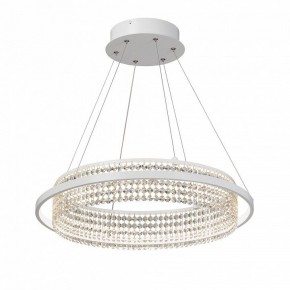 Подвесная люстра Vitaluce V5400 V5400-0/1S в Соликамске - solikamsk.ok-mebel.com | фото 2