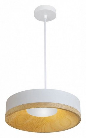 Подвесной светильник Divinare Vaso 5119/33 SP-8 в Соликамске - solikamsk.ok-mebel.com | фото 2