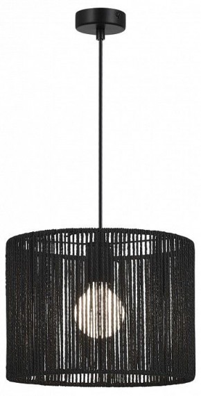 Подвесной светильник EVOLUCE ETTAN SLE6024-403-01 в Соликамске - solikamsk.ok-mebel.com | фото 2