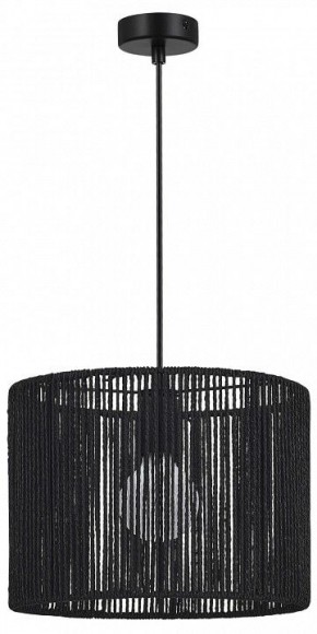 Подвесной светильник EVOLUCE ETTAN SLE6024-403-01 в Соликамске - solikamsk.ok-mebel.com | фото 4