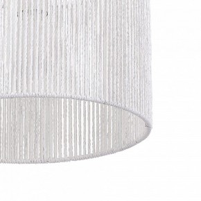Подвесной светильник EVOLUCE ETTAN SLE6024-503-01 в Соликамске - solikamsk.ok-mebel.com | фото 8