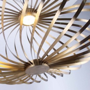Подвесной светильник Favourite Spring 4680-1P в Соликамске - solikamsk.ok-mebel.com | фото 5