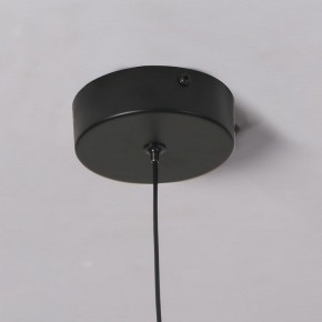 Подвесной светильник Favourite Wilet 4656-1P в Соликамске - solikamsk.ok-mebel.com | фото 10