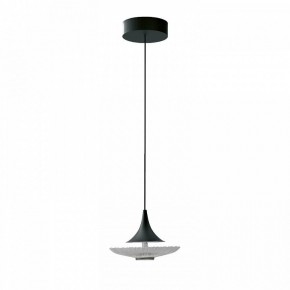 Подвесной светильник Favourite Wilet 4656-1P в Соликамске - solikamsk.ok-mebel.com | фото 2