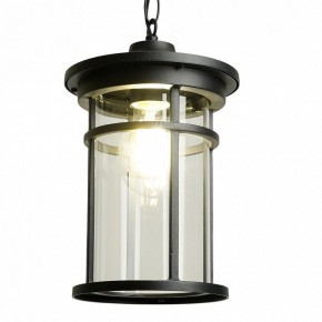 Подвесной светильник Feron PL765 51819 в Соликамске - solikamsk.ok-mebel.com | фото 3