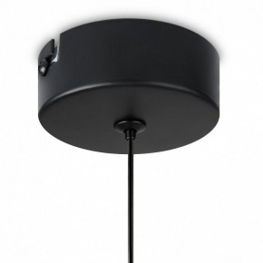 Подвесной светильник Freya Idol FR6134PL-L4SM в Соликамске - solikamsk.ok-mebel.com | фото 8