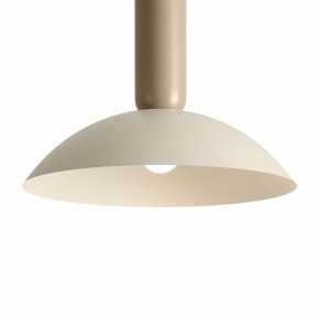 Подвесной светильник Freya Lotus FR5551PL-01CR в Соликамске - solikamsk.ok-mebel.com | фото 10