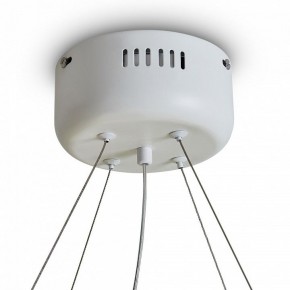 Подвесной светильник Freya Rain FR5546PL-L60W в Соликамске - solikamsk.ok-mebel.com | фото 9