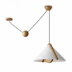 Подвесной светильник Freya Umbra FR5554CL-01T в Соликамске - solikamsk.ok-mebel.com | фото 2