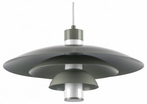 Подвесной светильник Lightstar Erbareo 799019 в Соликамске - solikamsk.ok-mebel.com | фото