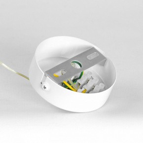 Подвесной светильник Lussole Gregg LSP-8964 в Соликамске - solikamsk.ok-mebel.com | фото 7