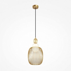 Подвесной светильник Maytoni Levitation MOD376PL-01G1 в Соликамске - solikamsk.ok-mebel.com | фото 2