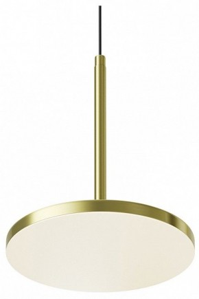 Подвесной светильник Maytoni Plato P076PL-L12W4K-BS в Соликамске - solikamsk.ok-mebel.com | фото